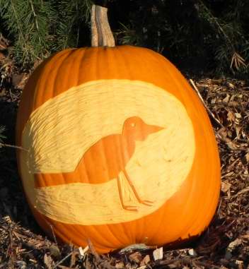 Bird 2011, Nipomo Pumpkin Patch, best carving idea